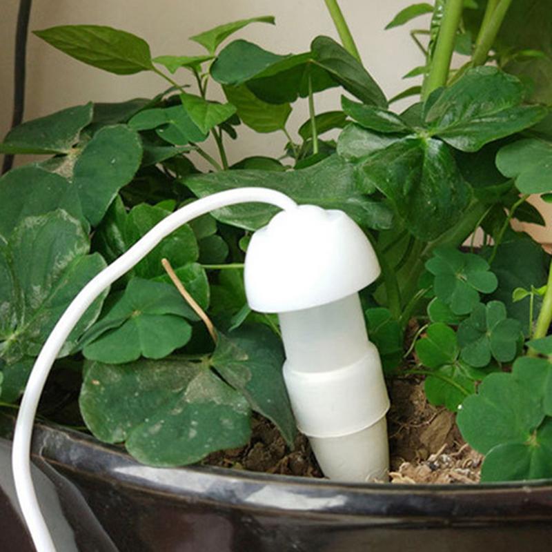 Plant Automatic Watering Devic - Plant Parent Kit recension och pris