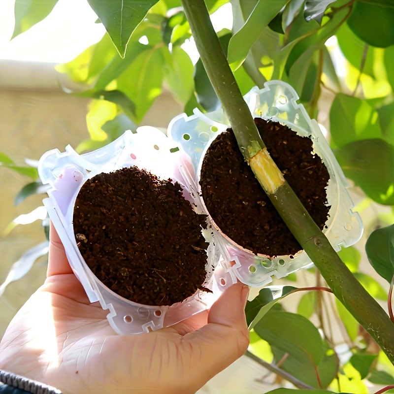 10Pcs High Pressure Plant Root - Plant Parent Kit recension och pris