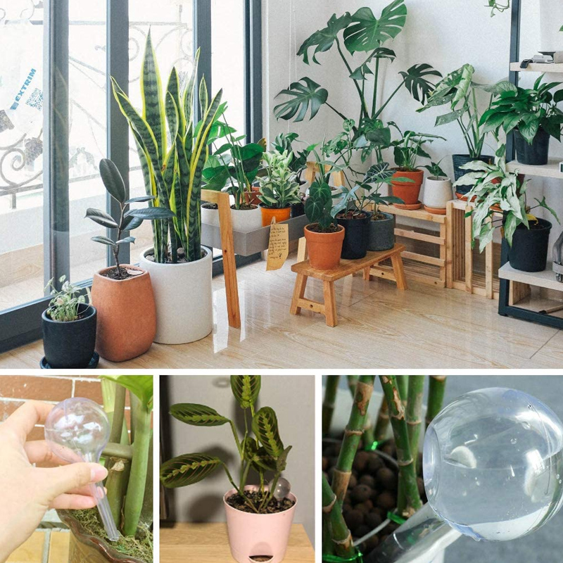 5/10PCS Automatic Plant Wateri - Plant Parent Kit recension och pris